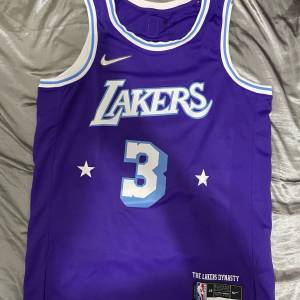 Nike Swingman Anthony Davis Los angles city edition