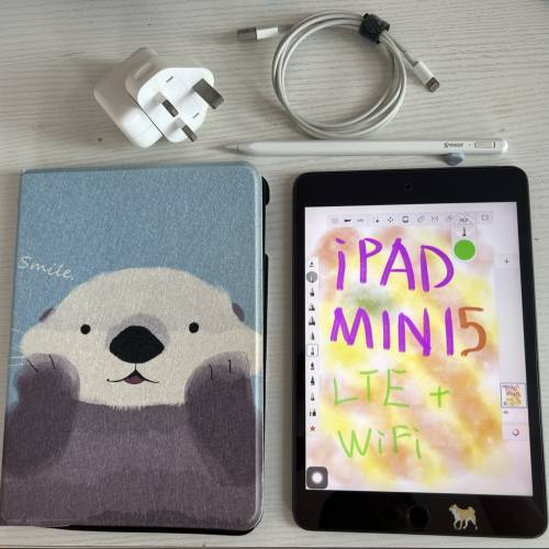 ipad mini 5 (LTE + Wifi) 電池健康度92%連  Xpower 筆