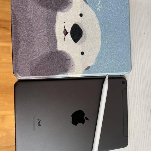 ipad mini 5 (LTE + Wifi) 電池健康度92%連  Xpower 筆