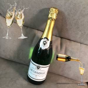 🍷 DE CHAZELLE BLANC Sparkling Wine 750ml 11% FRANCE 🇫🇷 NEW 全新 氣泡酒 氣酒...