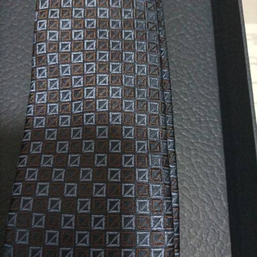 Dior 領帶 （呔） tie