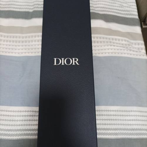 Dior 領帶 （呔） tie