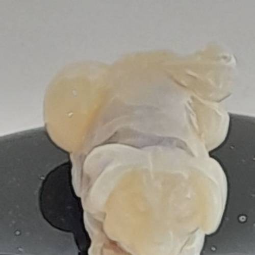 澳州opal蛋白石精雕小狗擺件，約一寸，重3.1克，配上黑瑪瑙底座。歡迎出價 no.be9....