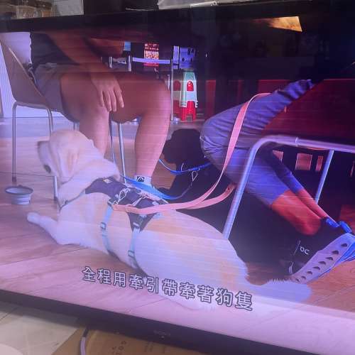 SONY  BRAVIA  55吋 SmartTV.  KD-55X9000A  Made in Japan  4K 3D一代機王。