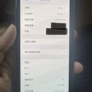 iPhone Xs 256G