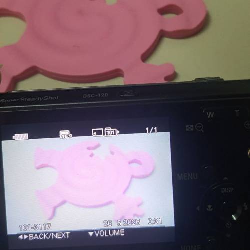 Sony Cyber-shot DSC-T200
