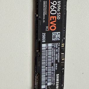Samsung 960 EVO 250GB M.2