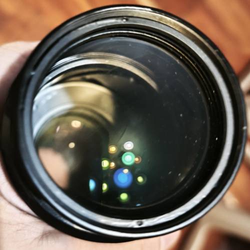 Canon EF 100-300mm f/5.6L 變焦鏡頭，第一代L 鏡