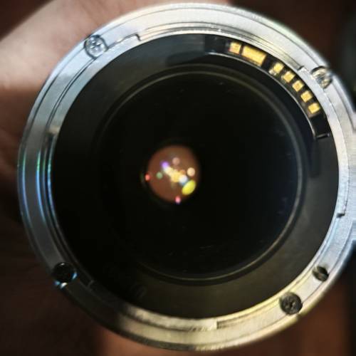 Canon EF 100-300mm f/5.6L 變焦鏡頭，第一代L 鏡