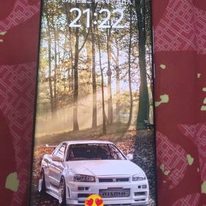 vivo x100 pro 12+256