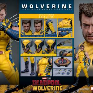 Hot Toys 死侍與狼人 Wolverine (Deluxe Version) Sixth Scale Figure