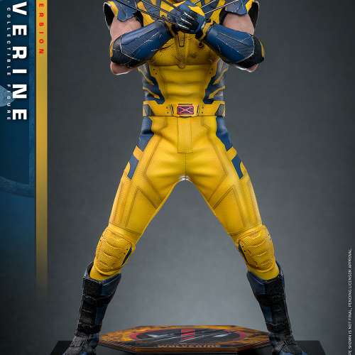 Hot Toys 死侍與狼人 Wolverine (Deluxe Version) Sixth Scale Figure
