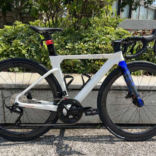 亮光白色 45碼 JAVA FUOCO TOP 火6 24速 油剎桶軸 碳刀碳纖維公路車 送水架前後蛙燈