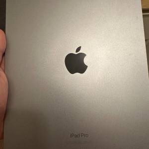 IPad Pro 2022 m2 128gb 120hz 電池100%