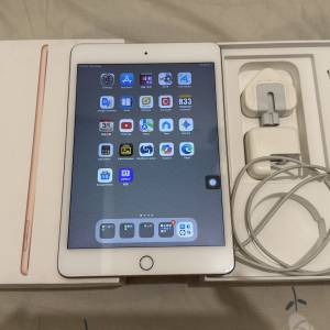 ipad mini 5 wifi+cellular 64GB