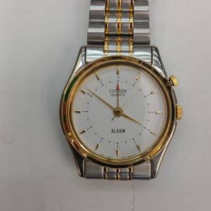 Citizen Analogue Alarm  Watch