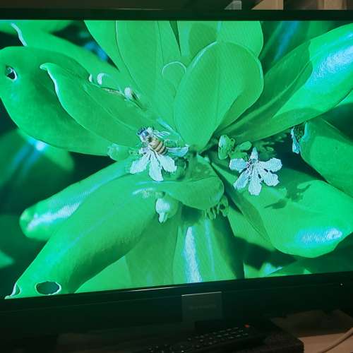 屯門良景輕鐵站交收 skyworth 創維 32吋 led-32e3 數碼電視 連遙控