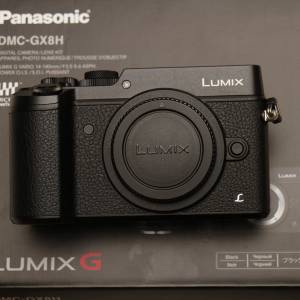 Panasonic Lumix DMC-GX8 (SC = 403)