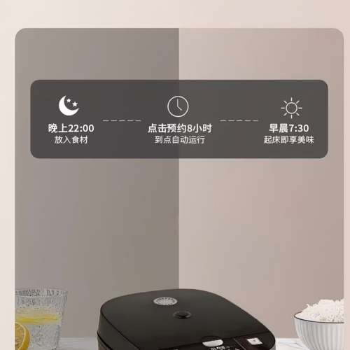 全新 多功能電飯煲 5公升