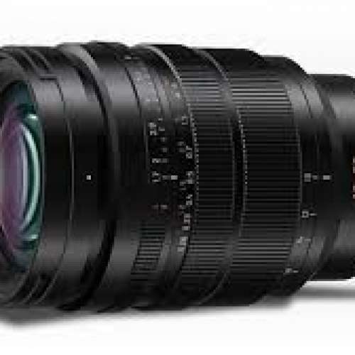 [WTB]-Panasonic Leica DG Vario Summilux 10-25mm F1.7 ASPH Lens (私人自用)