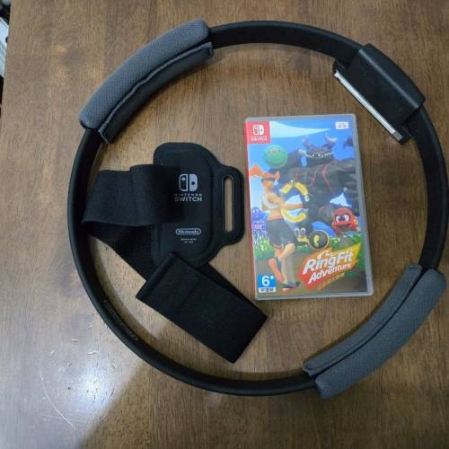 Switch 動森 動物森友會特別版