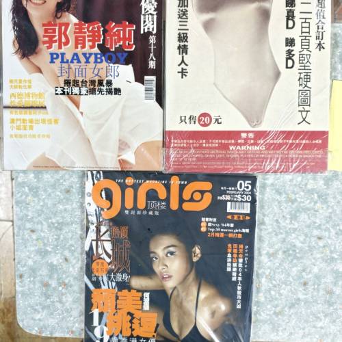 十一本不同寫真雜誌