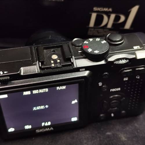 Sigma DP1 Foveon X3 28mm F4