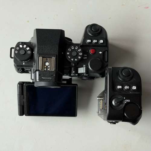 Panasonic Lumix S1RM2 S1RII S1R MarkII L mount / 35mm F1.8 / 100mm F2.8