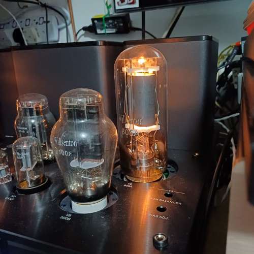 膽機威聲頓300B 推805
