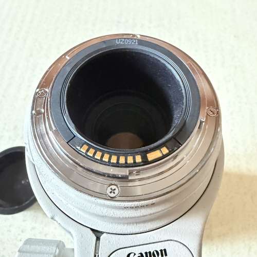 Canon EF 100-400mm f/4.5-5.6L IS USM 佳能紅圈鏡頭 大白第一代