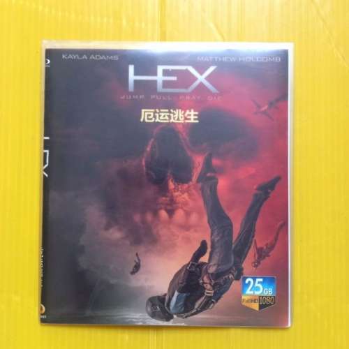 影碟DVD8