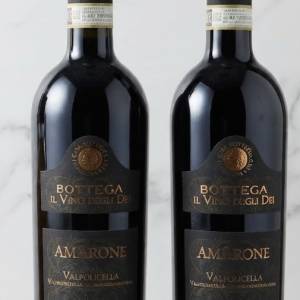 義大利頂級的 Amarone DOCG 紅酒 (Bottega Il Vino degli Dei Amarone della Valpo...