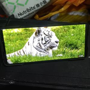 sony 1 v