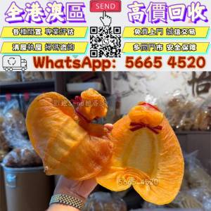 實體門店免費上門靚價回収#花膠，赤嘴花膠，赤嘴鳯魚膠，赤嘴鰩魚膠，舊花膠，花膠...