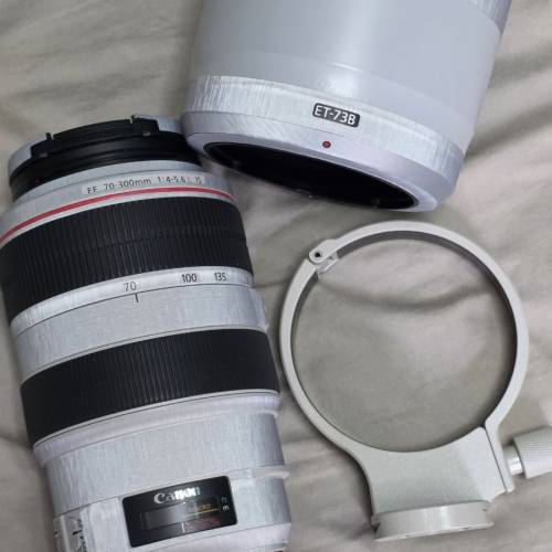 Canon EF 70-300mm f/4-5.6 IS II USM