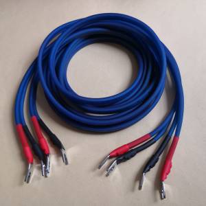 美國 CALIBER OFC 10AWG 2.38m 喇叭線一對