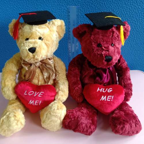 Love bear