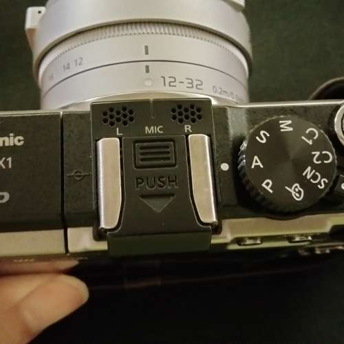 panasonic GX1 Body only