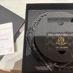 Brise Audio Shirogane 白銀 8w