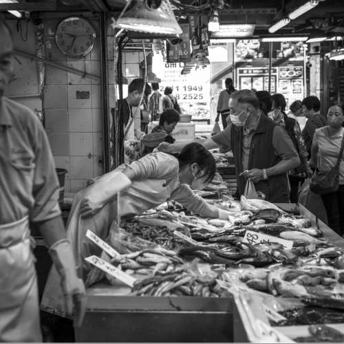 || Brand New Book - Indulge - Hong Kong Cityscape by Duncan Wong ||