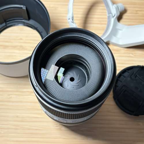 Canon RF 70-200mm F2.8 L IS USM