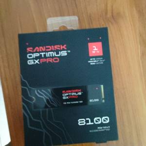SanDisk Optimus gxpro 8100 1tb 全新 m.2 ssd