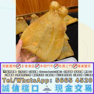 #花膠，赤嘴花膠，舊花膠，陳年花膠，燕窩，鮑魚，海參，海味，魚翅，幹鮑魚，幹海...