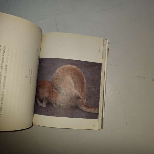安紫元所著、文家傑攝影的愛情小說《