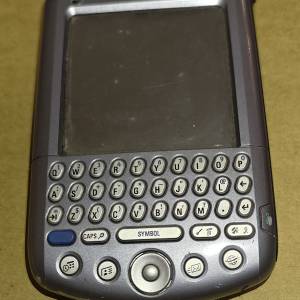 palm