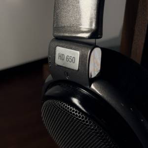 Sennheiser HD650