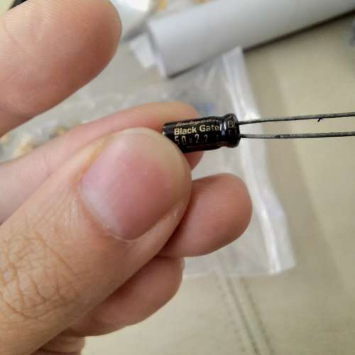 絕版 Rubycon Black gate 電容
