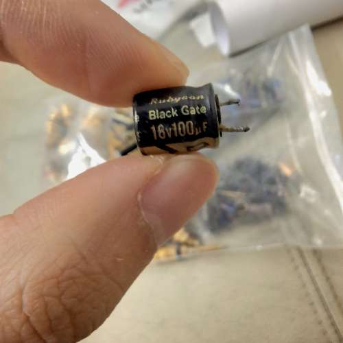 絕版 Rubycon Black gate 電容