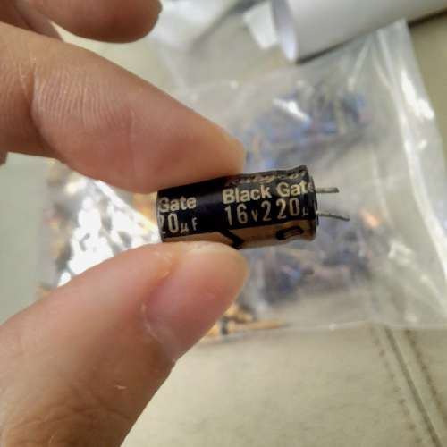 絕版 Rubycon Black gate 電容