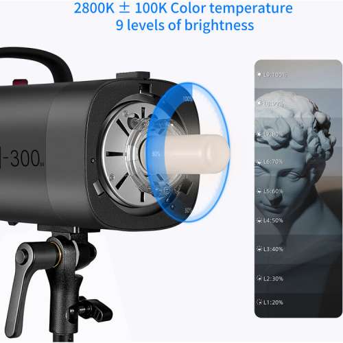 Neewer S101-300W Monolight Studio Strobe Flash